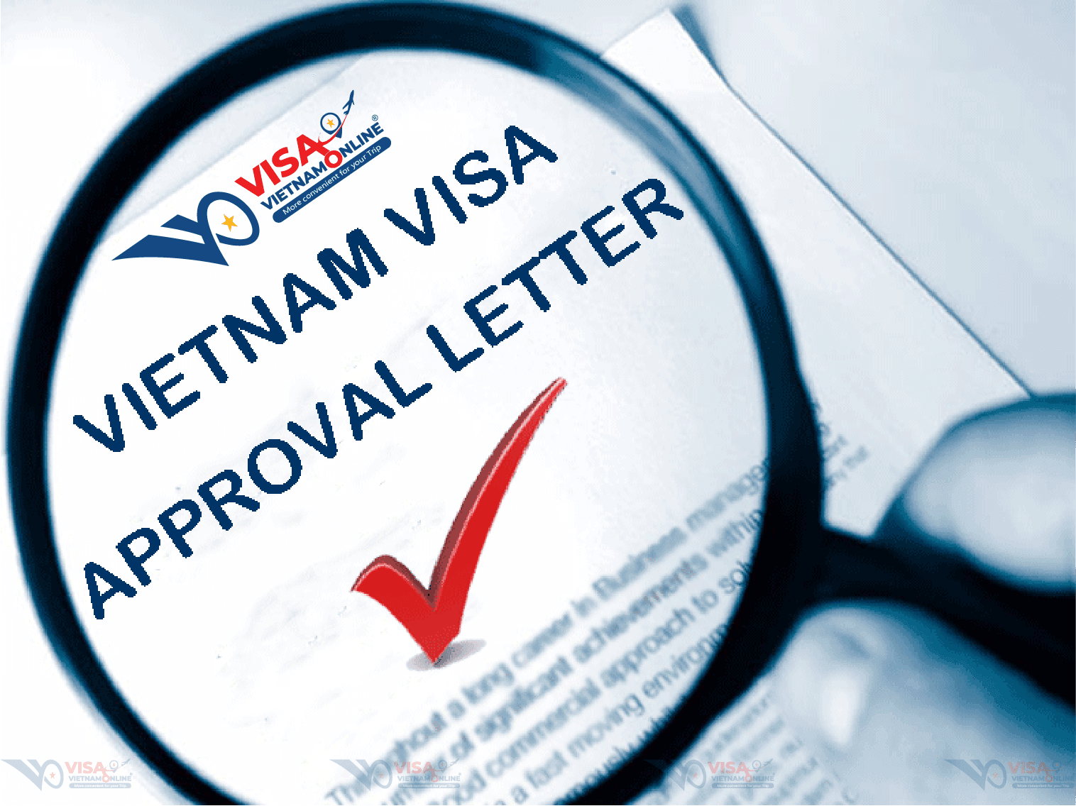 Emergency Visa Vietnam approval letter
